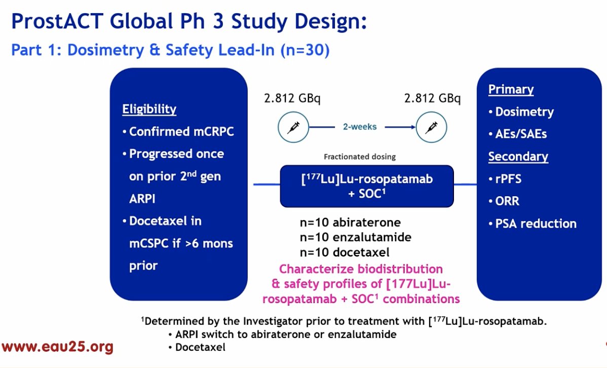 The first part of the study focuses on dosimetry and safety, enrolling 30 patients who receive two treatments administered 14 days apart. The primary endpoints for this phase include dosimetry assessments and adverse events.