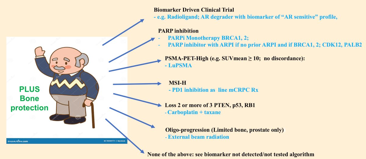 For first line mCRPC therapy, the decision must be based on a personalized approach. For those that have a biomarker “detected” (exome PTEN, RB1, p53, BRCA1/2, CDK12, PALB2, and PSMA PET) mCRPC, the following personalized treatment approach should be used