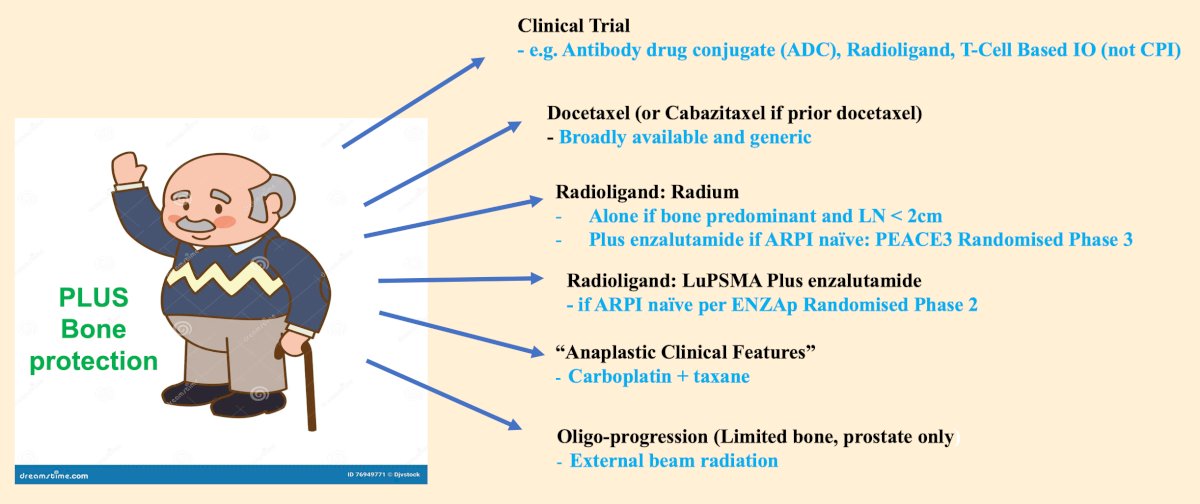 For those with a biomarker “not detected/unknown/not tested” mCRPC (or after biomarker directed therapy), the following personalized treatment approach should be used