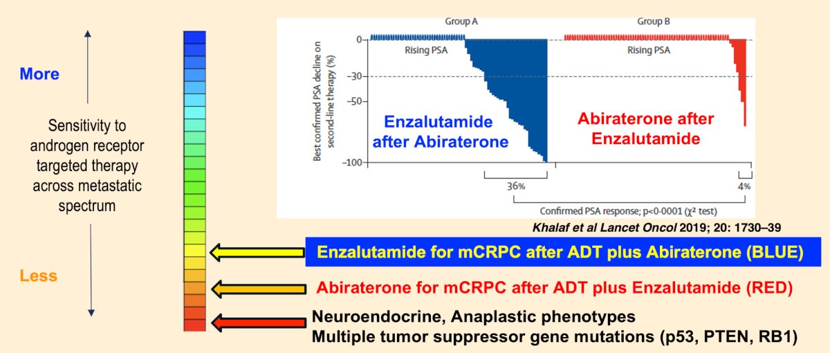 Dr. Sweeney emphasized that his algorithm for treating mCRPC does not include abiraterone or ‘amide after ‘amide. He notes that abiraterone or enzalutamide after ADT alone have hazard ratios for overall survival ranging from 0.70-0.80 and median overall survival of 3 years. However, there is variable AR dependence of metastatic prostate cancer after ADT + androgen receptor pathway inhibitors, as evidence for enzalutamide and abiraterone switch