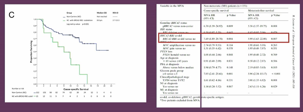 Furthermore, Dr. Olmos discussed that somatic 13q loss, which involves BRCA2 loss, is highly prognostic in early prostate cancer, regardless of the presence of germline BRCA mutations. It has been shown to be associated with worse survival outcomes.