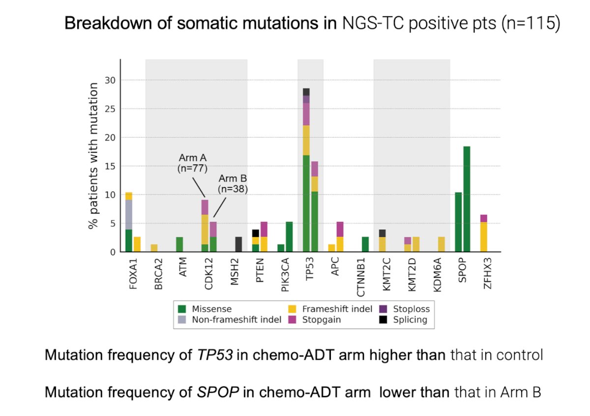In two studies evaluating the molecular characterization of genomic alterations after neoadjuvant treatment, the Phase III CALGB 90203 (Alliance) trial assessed neoadjuvant chemohormonal therapy. Investigators found that the mutation frequency of&nbsp;TP53&nbsp;was higher in the chemotherapy-ADT arm compared to the control, while the mutation frequency of&nbsp;SPOP was lower in the chemotherapy-ADT arm than in Arm B