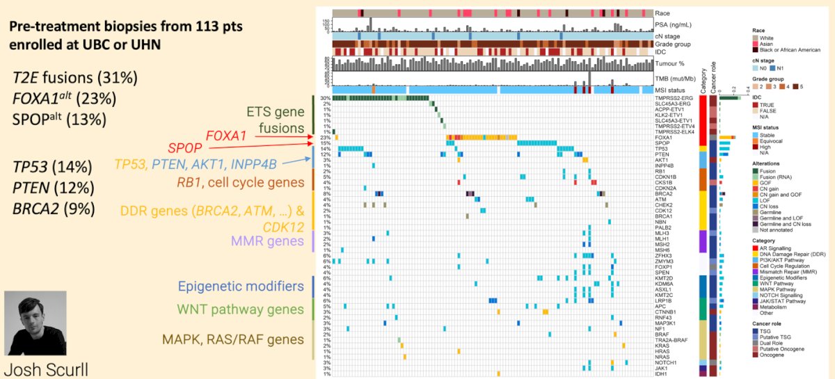 Pre-treatment transcriptomes largely clustered according to ETS-fusion and SPOP status. ETS fusions were associated with the PCS2-luminal subtype and decreased proliferative signatures, whereas most other alterations were linked to the PCS1-luminal subtype. AR signatures were associated with SPOP and FOXA1 mutations but not with ETS fusions, as shown below.