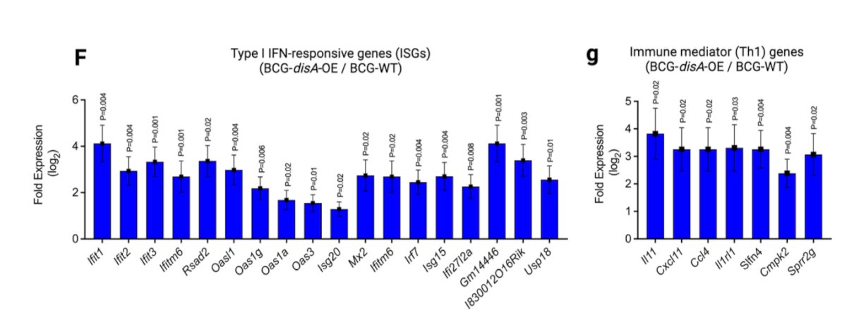 Moreover, BCG-STING treated immunogenic urothelial tumors are highly inflamed 2