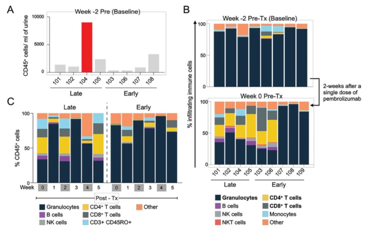 First published in 2022, Meghani et al.1 reported the first-in-human intravesical delivery of pembrolizumab, identifying immune activation in BCG unresponsive non muscle invasive bladder cancer. Specifically, they showed progressive remodeling of local immune contents over the course of treatment by urine analysis of immune cells and cytokines: