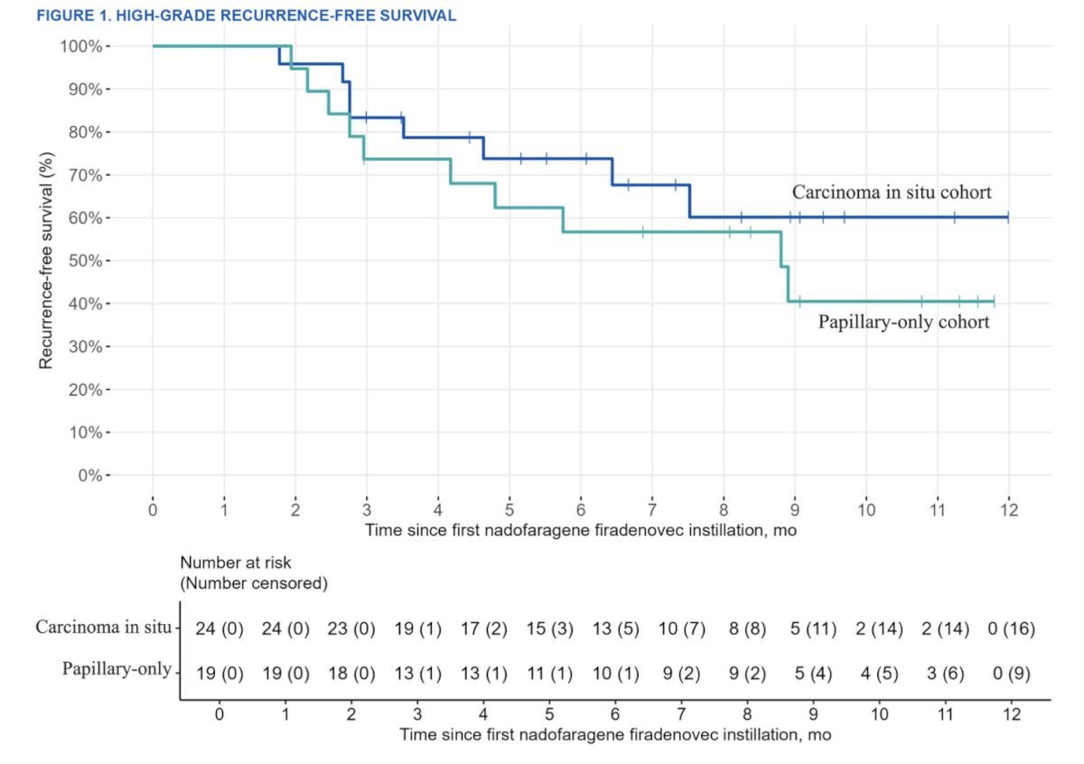 At a median follow-up of 7.3 months, 84% (16/19) of responders still had complete responses. The Kaplan-Meier estimate of duration of response at 6 and 9 months was 100% and 75%, respectively. Of the patients with papillary only disease, 68% (13/19) were recurrence free at 3 months, with 77% (10/13) remaining recurrence free at a median follow-up of 8.9 months: