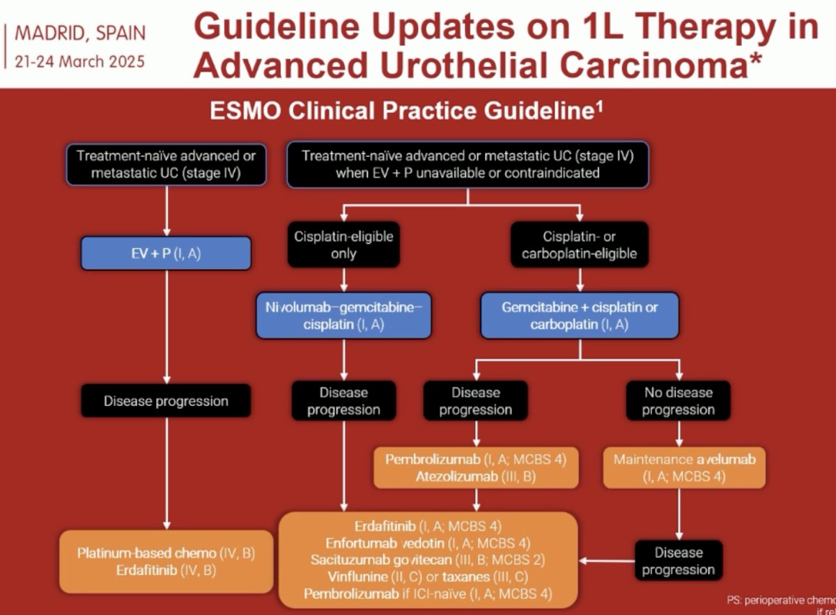 Next, Dr. Andrea Necchi argued in favor of systemic therapy. He noted that current international guidelines, including the ESMO guidelines summarized below, all recommend systemic therapy for this patient, who, by definition, has now developed metastatic disease, and, thus, should be treated with 1st line systemic therapy.