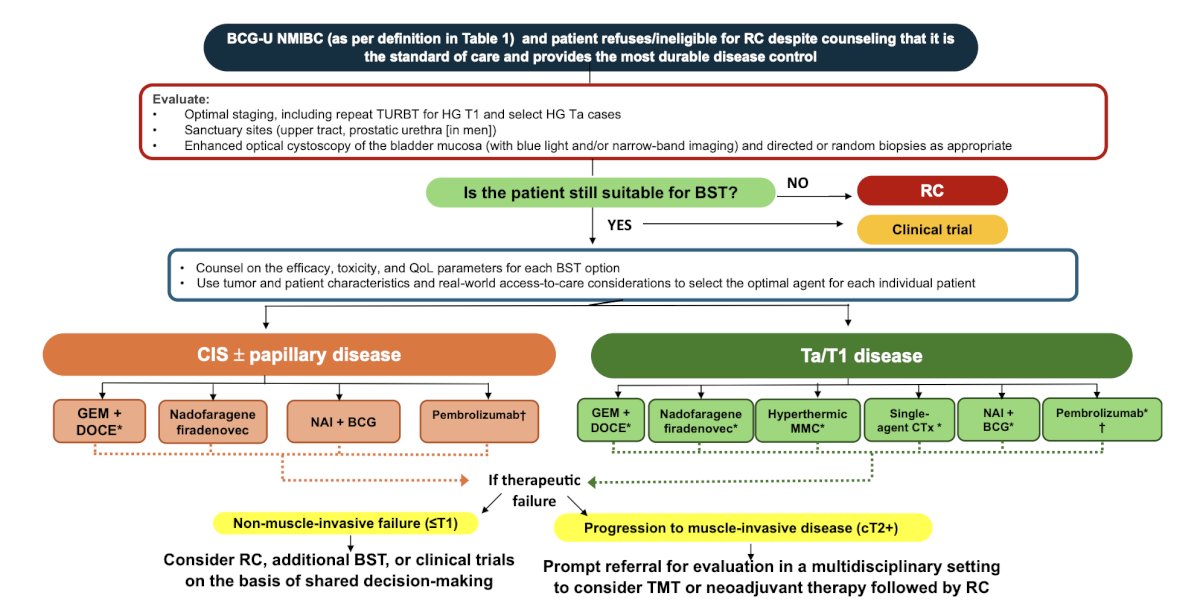 For patients with BCG-unresponsive CIS, gemcitabine + docetaxel, nadofaragene firadenovec, and NAI + BCG are recommended; because of its systemic toxicity, pembrolizumab should only be offered after other options are exhausted. For patients with BCG-unresponsive papillary-only tumors, gemcitabine + docetaxel, nadofaragene firadenovec, NAI + BCG, single-agent chemotherapy, hyperthermic mitomycin C, and pembrolizumab are recommended