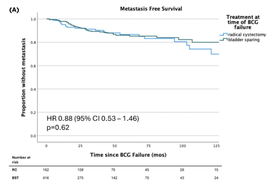 Recently, Taylor et al.6 assessed 578 patients, of which 28% underwent upfront radical cystectomy and 72% received bladder sparing therapy. Over a median 50 months follow-up, there were no statistically significant differences in metastasis-free survival, cancer-specific survival, or overall survival between treatment groups