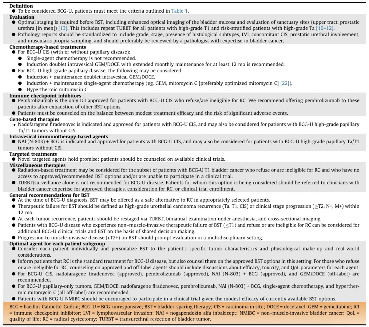 There are many questions that remain in this disease space from a patient’s perspective, notably “Am I giving up long term cure for short term gain?” To help alleviate anxiety for both the patient and the provider, Dr. Kamat notes that the International Bladder Cancer Group has provided the following consensus recommendations for bladder sparing therapy in BCG-unresponsive non muscle invasive bladder cancer: