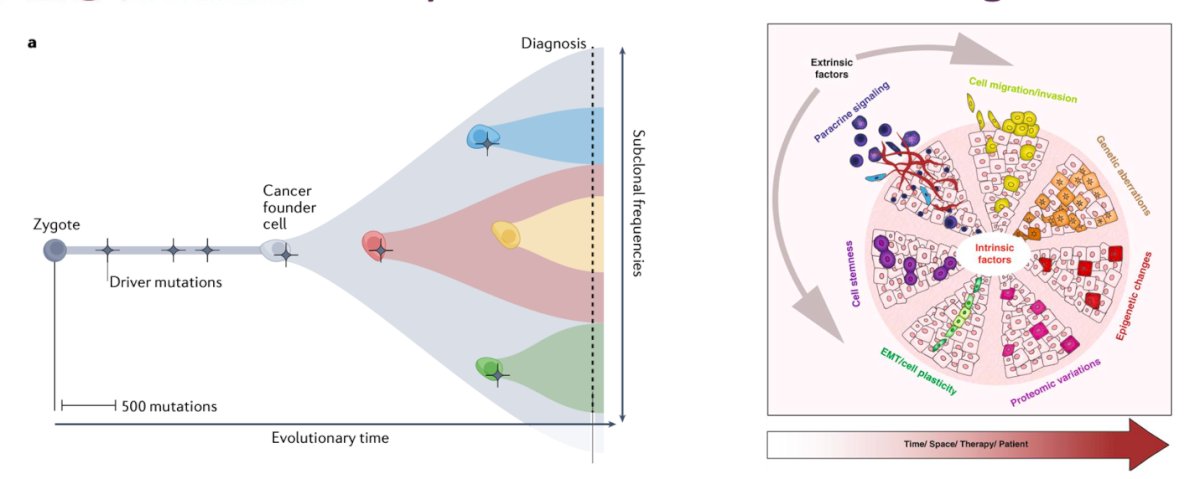 Additionally, clinical validation requires large patient cohorts and long follow-up periods to generate robust evidence. Finally, stringent regulatory requirements further extend the timeline for approval and implementation in clinical settings.