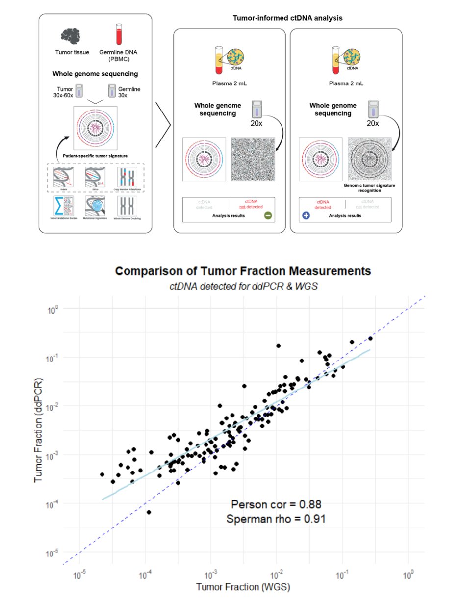 Moreover, this study helped refine analytic methods by comparing tumor fraction measurements. ctDNA was detected using both digital droplet PCR (ddPCR) and whole-genome sequencing, allowing for a comprehensive evaluation of detection techniques.