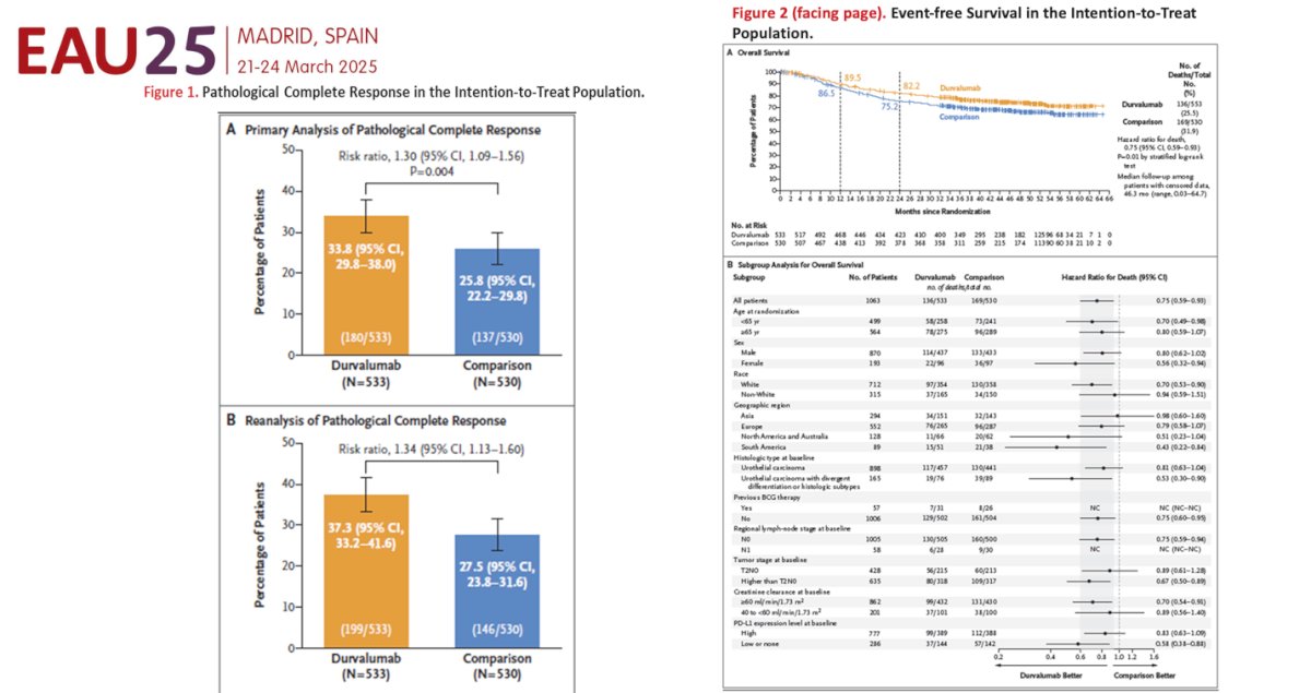 The planned formal analysis for pCR was not statistically significant (p=0.0038) as the threshold for significance was a p-value of 0.001. However, this analysis incorrectly classified 59 evaluable samples as non-responders rather than their true result. The re-analysis, which included these 59 samples and identified 28 additional pCRs, showed statistical significance in favor of the Durvalumab arm (p=0.0005).&nbsp;(6) The Forest plot shows improvement in all subsets of patients.