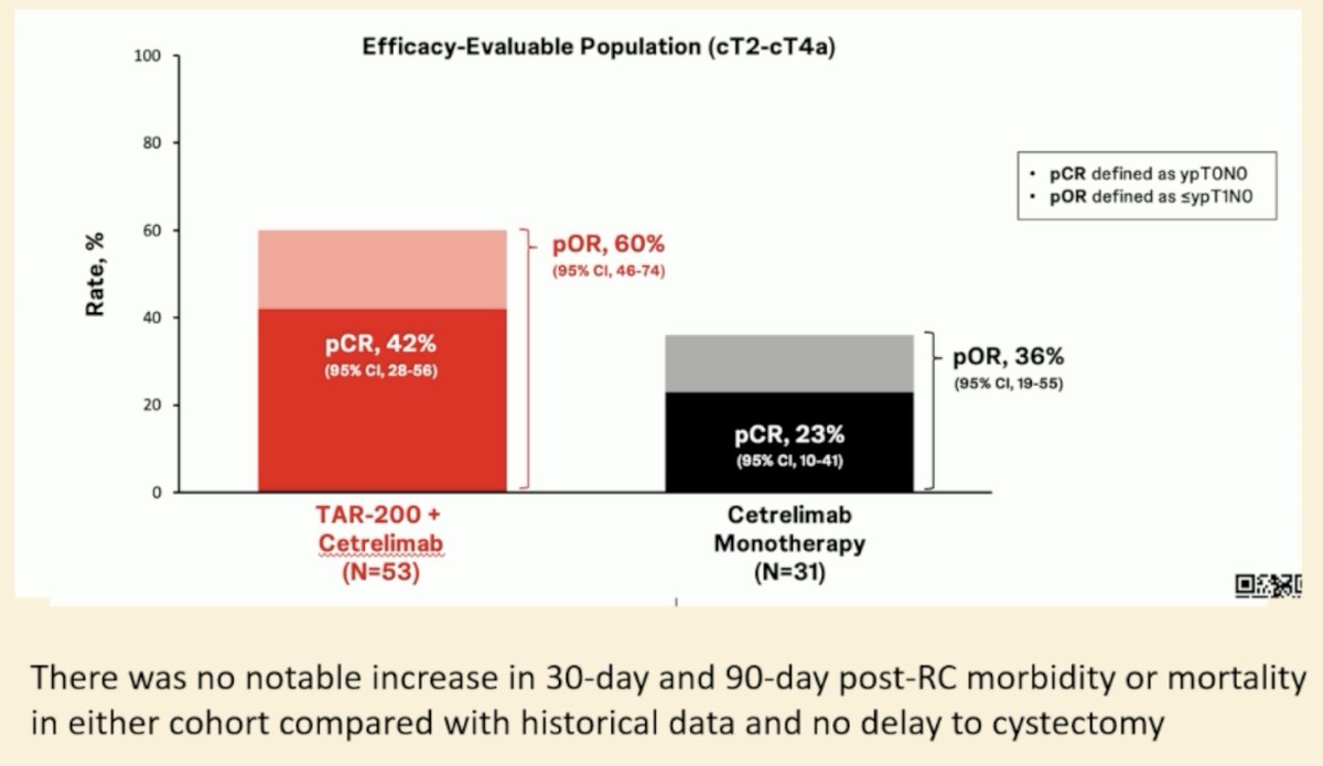 The combination of TAR-200 + cetrelimab was associated with a pathologic complete response of 42%, with a pathologic objective response of 60%. Conversely, in the cetrelimab only arm, the corresponding proportions were 23% and 36%, respectively.