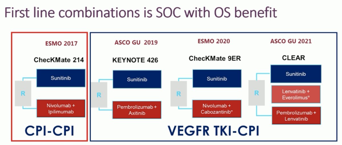 Summarized below are the four trials of 1st line standard-of-care combinations with proven overall survival benefits in the locally advanced/metastatic setting
