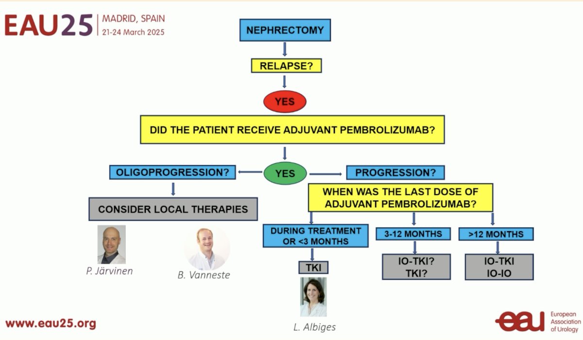 Dr. Suarez concluded her presentation with the following recommendations for the treatment of patients with disease progression following adjuvant pembrolizumab therapy: