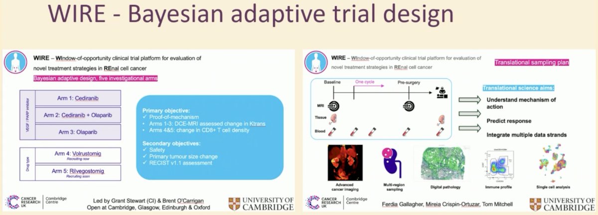 WIRE is a phase II, multi-arm, non-randomised, proof-of-mechanism platform trial using a Bayesian adaptive design.