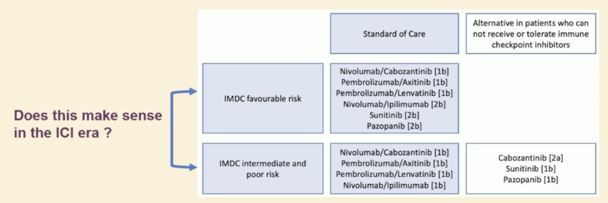 The IMDC criteria are the gold standard for risk-stratifying patients with mRCC. Currently, all evidence-based recommendations for systemic treatment are based on Heng’s/IMDC risk group stratification. However, does this still make sense in the immune checkpoint inhibitor era?