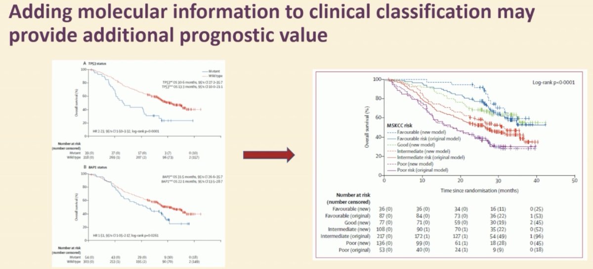 What about molecular biomarkers? Patient-specific molecular data suggest that patterns of response and resistance to VEGFRi and immunotherapy are innately different and depend on tumor biology. There is overlap between what the clinical characteristics used in IMDC risk stratification and genetic characteristics capture.