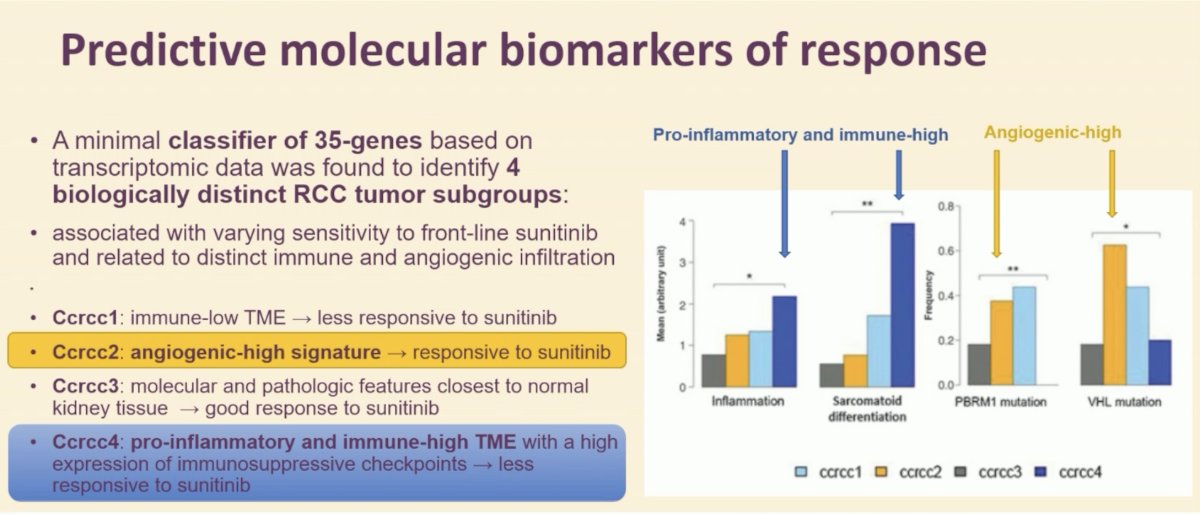 A minimal classifier of 35-genes based on transcriptomic data was found to identify four biologically distinct RCC tumor subgroups associated with varying sensitivity to front-line sunitinib and related to distinct immune and angiogenic infiltration