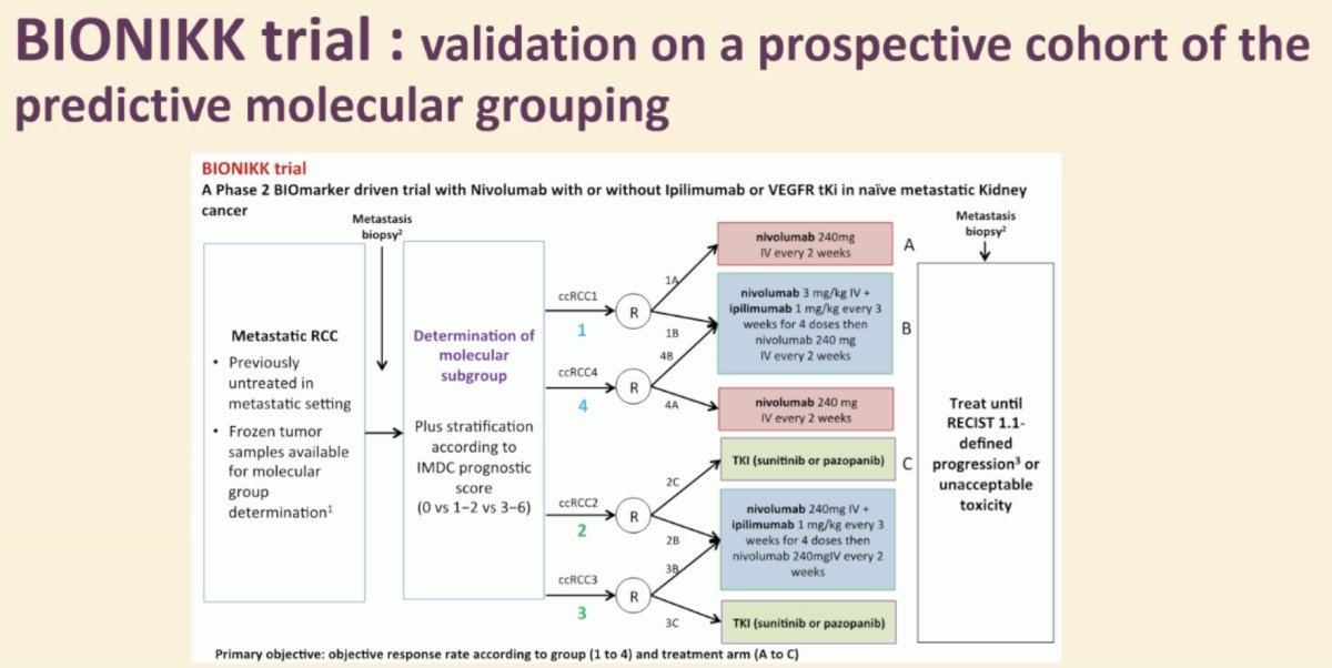 BIONIKK is a French, multicenter randomized non-comparative trial that randomized untreated mRCC patients according to their tumor molecular subgroup, defined on a frozen tumor sample. Patients with ccRCC1 and ccRCC4 tumors were randomized to receive nivolumab alone or nivolumab + ipilimumab, whereas patients with ccRCC2 and ccRCC3 tumors were randomized to receive nivolumab + ipilimumab or a TKI alone.&nbsp;