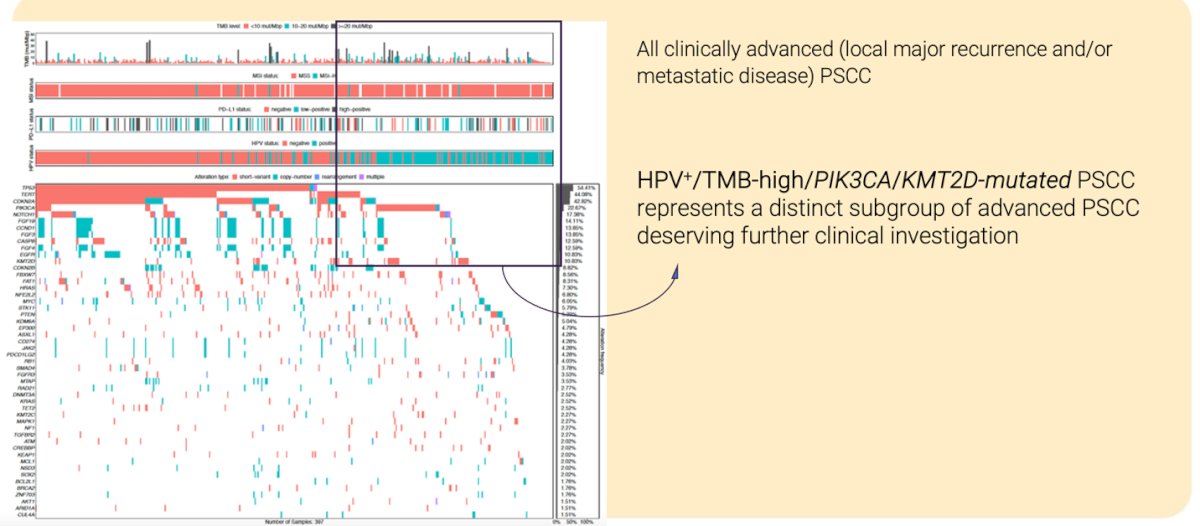 Significant biomarker differences were observed in nearly 15% of patients with a TMB of 10 mutations per megabase or higher, with human papillomavirus identification increasing as TMB rose. Notably, the study identified a distinct subgroup of advanced penile squamous cell carcinoma characterized by HPV positivity, high TMB, and PIK3CA/KMT2D mutations, warranting further clinical investigation