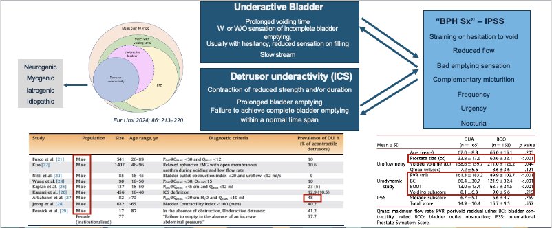 When we consider the association of smaller prostate size and some urodynamics findings like low urinary flow and reduced detrusor contractility, this might point to underactivity and help us to differentiate detrusor underactivity and BOO. The main takeaway is that urologists should always consider both possibilities in our diagnosis and treatment plans for voiding dysfunction.