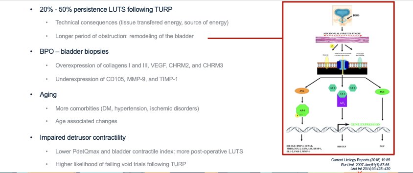  In fact, long-term obstruction causes structural and functional changes to the bladder. In obstructed patients, bladder biopsies reveal increased Type I and Type II collagen, elevated vascular growth factors, higher muscarinic receptor levels, and few receptors involved in contraction.