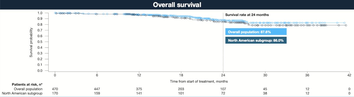 At 24 months, overall survival rates were similar in the North American subgroup (86.0%) versus the overall population (87.6%):&nbsp;