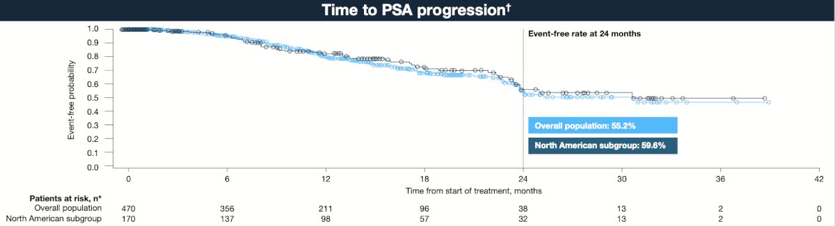 PSA undetectable and progression free rates were slightly higher in the North American subgroup:&nbsp;