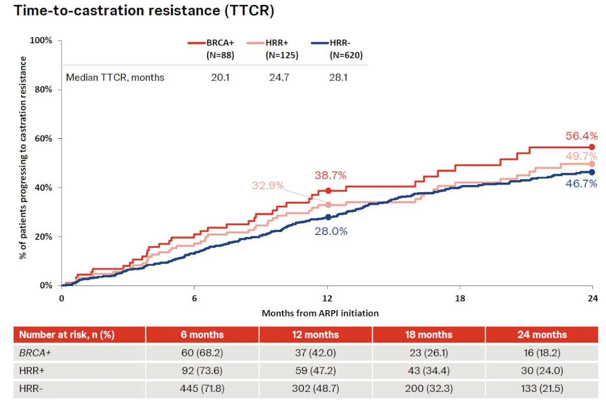 For TTCR, by 24 months, 56.4% of BRCA+ patients had progressed to castration resistance, which was a higher proportion relative to 49.7% of HRR+ patients and 46.7% of HRR- patients. BRCA+ patients had a median TTCR of 20.1 months, shorter relative to 24.7 months among HRR+ patients and 28.1 months among HRR- patients.