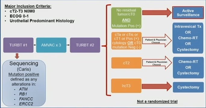 image-3.jpg