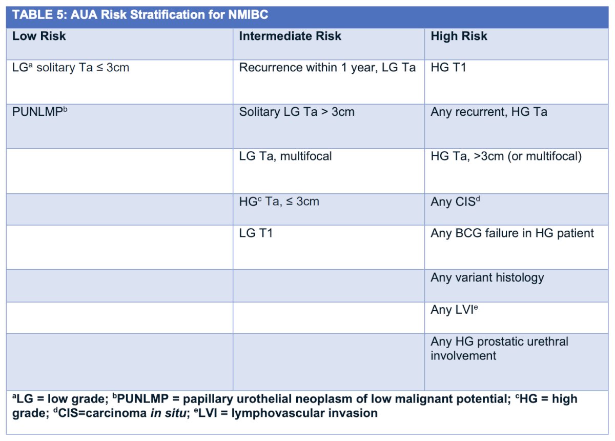 Dr. Al-Ahmadie then discussed artificial intelligence in histopathological substratification. At a high level, classification of urothelial neoplasms is dichotomized as non muscle invasive bladder cancer and muscle invasive bladder cancer. The following table highlights the current AUA/SUO guidelines for non muscle invasive bladder cancer