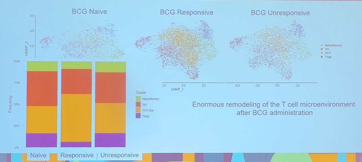 Moreover, there are no biomarkers needed for BCG, and BCG remodels the bladder immune environment. The following demonstrates the enormous remodeling of the T cell microenvironment after BCG administration