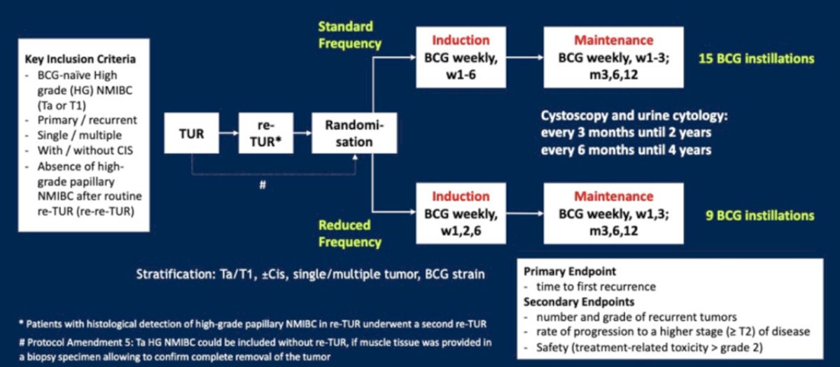 The reduced frequency BCG schedule was induction at weeks 1, 2, and 6 followed by 2 weeks (week 1 and 3) of maintenance at 3, 6, and 12 month (nine instillations)