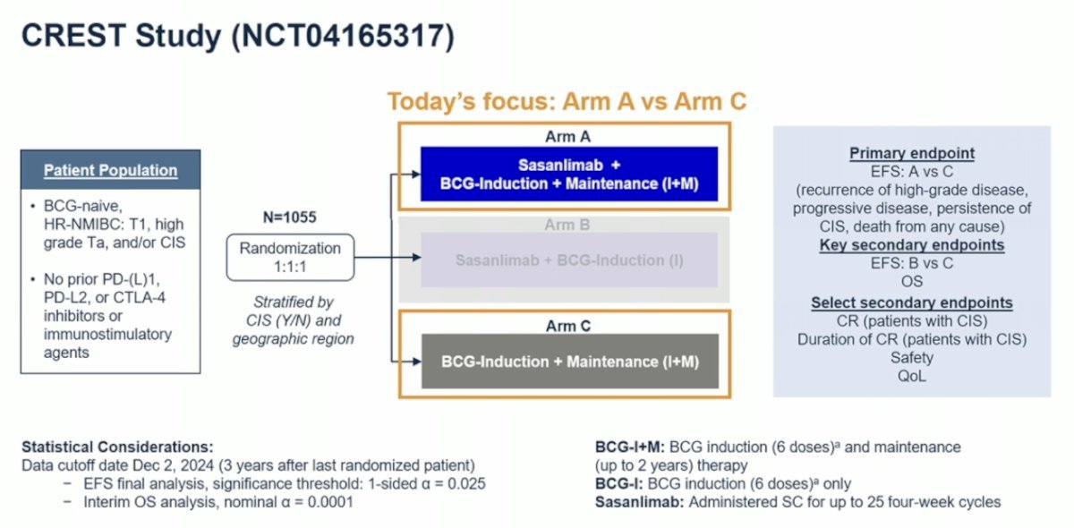 For the presentation at AUA 2025, the focus was on the comparison between Arm A and Arm C. The primary endpoint was event-free survival, defined as recurrence of high-grade disease, progressive disease, persistence of CIS, or death from any cause