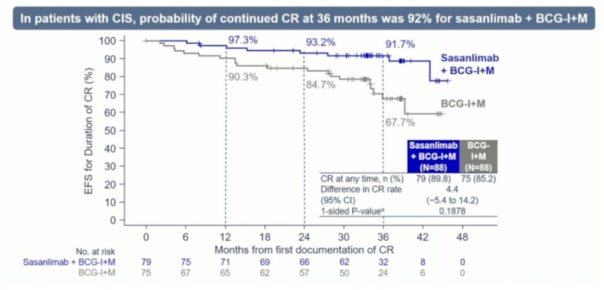 In patients with CIS, the probability of maintaining a complete response at 36 months was 92% with sasanlimab plus BCG induction and maintenance, compared to 84.7% with BCG induction and maintenance alone:&nbsp;