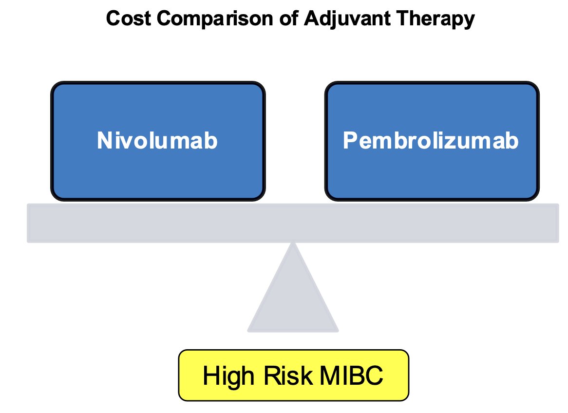 The aim of this study was to evaluate the cost-effectiveness of adjuvant nivolumab versus pembrolizumab, compared to surveillance, for the treatment of patients with high-risk MIBC from a U.S. healthcare payer perspective.