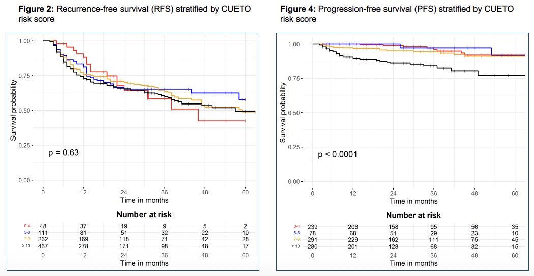 Notably for the CUETO risk model, there were no significant differences in predicted RFS between the risk groups.