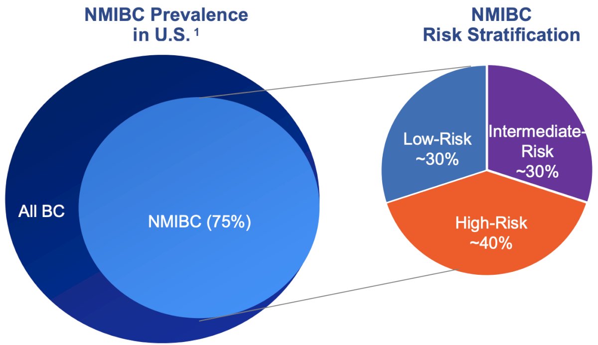 There is a significant unmet need with a high prevalence of intermediate risk non muscle invasive bladder cancer in the United States. Intermediate risk disease has a high risk of recurrence (50%-70%), but low risk of progression (<5%). Thus, it is a common, costly, and chronic disease, often requiring multiple resections and placing patients at risk from multiple anesthetics/surgeries