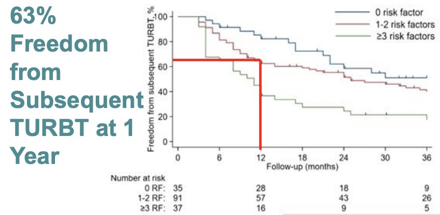 Work presented at EAU 2024 by Dr. Contieri demonstrated that the IBCG intermediate non muscle invasive bladder cancer scoring system predicts the need for intervention for patients on active surveillance