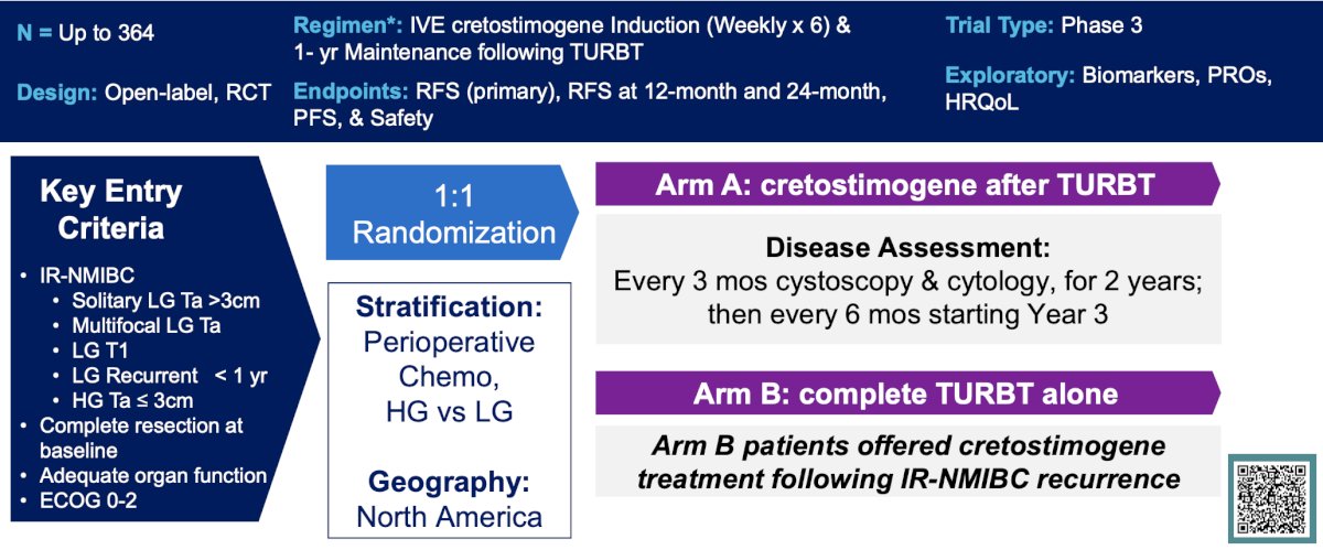 Stratification factors include receipt of single-dose perioperative chemotherapy and tumor grade. Patients (~n = 364) will be randomized 1:1 to receive intravesical cretostimogene (Cohort 1) adjuvant to TURBT or surveillance (Cohort 2). Participants in Cohort 2 will be eligible to receive intravesical cretostimogene if recurrence with intermediate risk NMIBC is noted