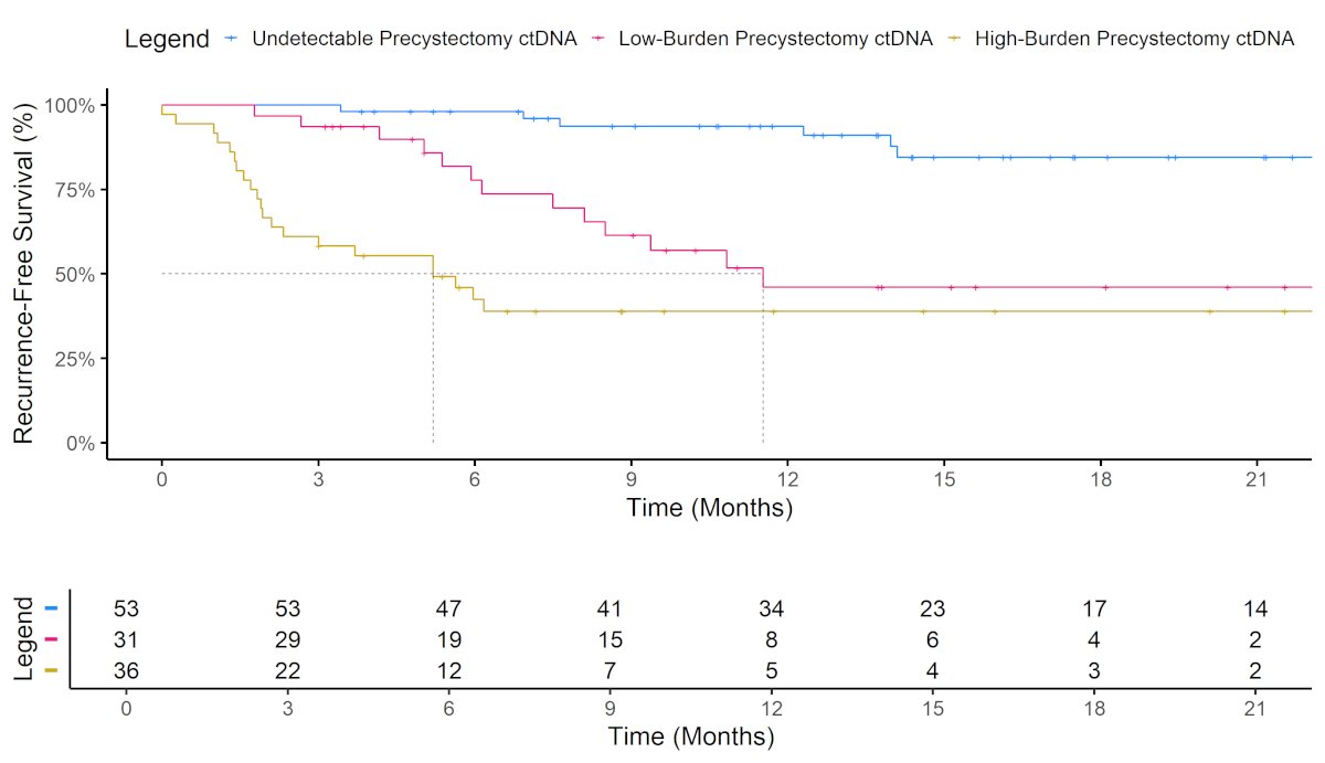 A total of 40 patients (33.3%) experienced recurrence. Detectable precystectomy ctDNA had a significantly worse RFS; median RFS was not reached in the undetectable group vs. 11.5 months in the low ctDNA burden group, and 5.2 months in the high ctDNA burden group, as shown in the RFS curves below.