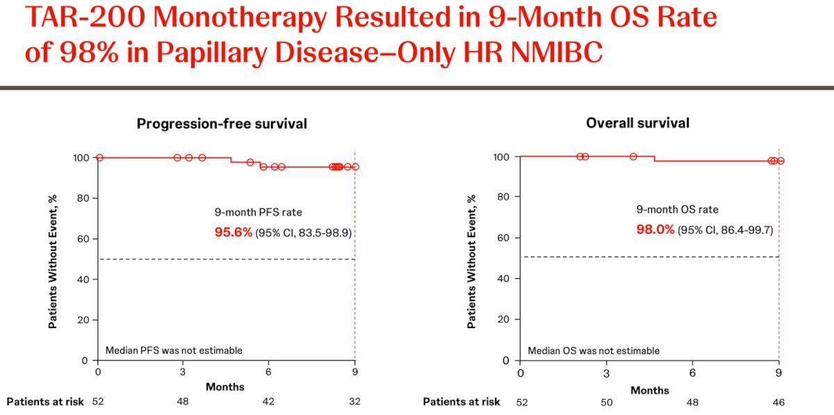 The progression-free survival (PFS) rate at 9 months was 95.6%, and although overall survival (OS) data were still immature, the OS rate was 98% at 9 months.