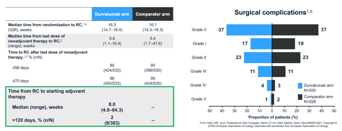 Moreover, the time to radical cystectomy and the rate of surgical complications were similar between treatment arms, further supporting the safety of the perioperative NAC plus immunotherapy combination in this setting.