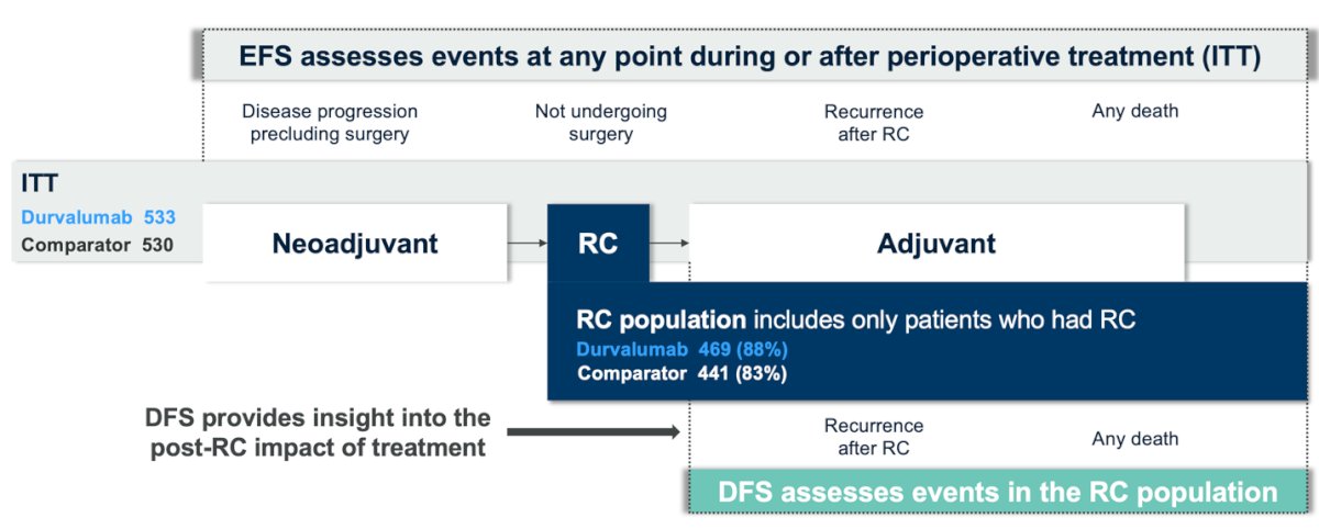 Dr. Meeks highlighted that event-free survival (EFS) captures events occurring at any point during or after perioperative treatment in the intent-to-treat (ITT) population, whereas disease-free survival (DFS) is assessed in patients who underwent radical cystectomy (RC), as illustrated in the graphic below. Notably, 63 patients in the durvalumab group did not undergo RC due to patient decision (n = 32), disease progression (n = 9), adverse events (n = 6), death (n = 5), investigator decision (n = 5), study discontinuation (n = 3), unfitness for surgery (n = 2), and one abandoned procedure. In the comparator group, 84 patients did not undergo RC due to patient decision (n = 36), study discontinuation (n = 12), disease progression (n = 9), death (n = 8), adverse events (n = 7), investigator decision (n = 6), and unfitness for surgery (n = 6).