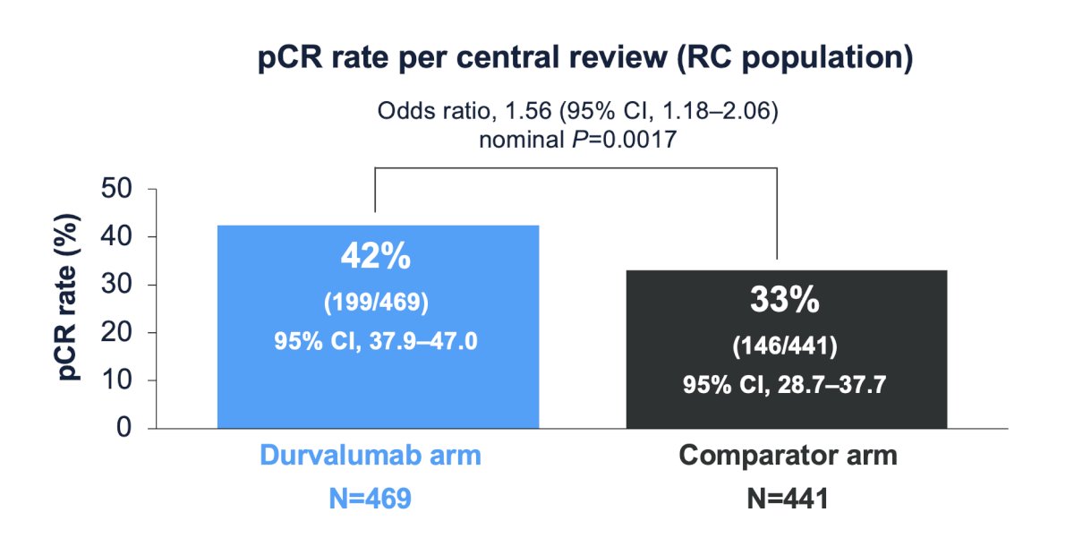 The pathological complete response (pCR) rate in the radical cystectomy (RC) population was 42% with perioperative durvalumab plus neoadjuvant chemotherapy (NAC), compared to 33% with NAC alone. The odds ratio for achieving a pCR with the combination was 1.56 (95% CI, 1.18–2.06; nominal P = 0.0017).