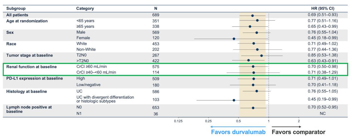 Dr. Meeks highlighted that the DFS benefit with perioperative durvalumab was consistently observed across prespecified subgroups when compared to the comparator arm, and patients with borderline renal function (CrCl ≥40–<60 mL/min) had DFS benefit with perioperative durvalumab vs comparator as shown in the forest plot below.