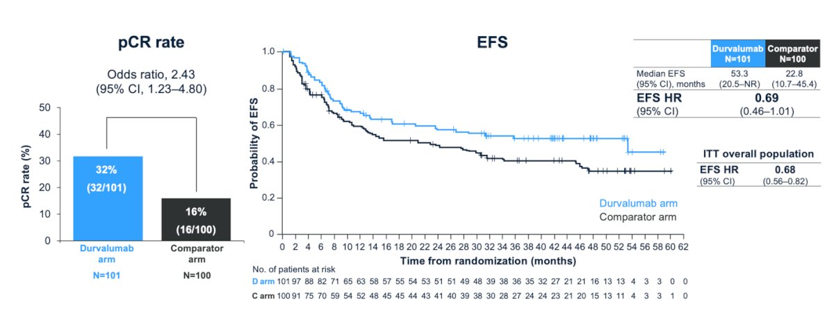 Furthermore, Dr. Meeks presented an analysis of pCR and EFS outcomes in the borderline renal function population (CrCl ≥40–<60 mL/min). He highlighted that perioperative durvalumab plus NAC improved both the pCR rate (32% vs. 16%) and EFS (median 53.3 vs. 22.8 months) in this subgroup, as illustrated in the graphics below.&nbsp;