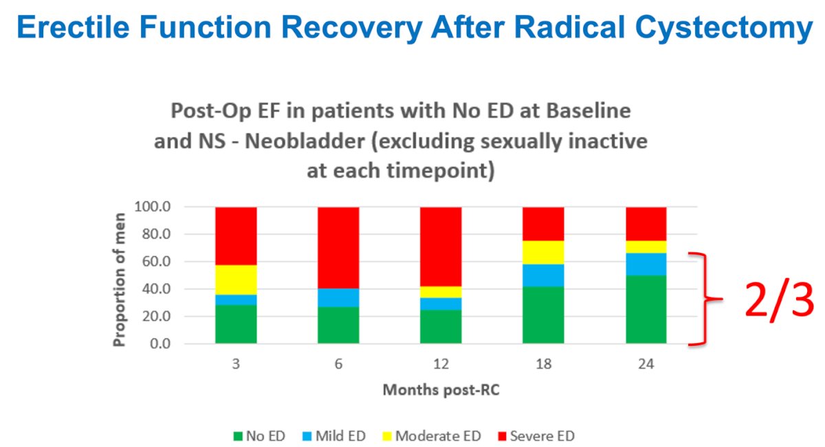 Erectile function recovery after radical cystectomy was generally low and largely depended on whether a nerve-sparing approach was performed. However, among patients without erectile dysfunction at baseline who underwent neobladder diversion and the neurovascular bundles were spared, two-thirds remained free of erectile dysfunction at 24 months post-cystectomy.